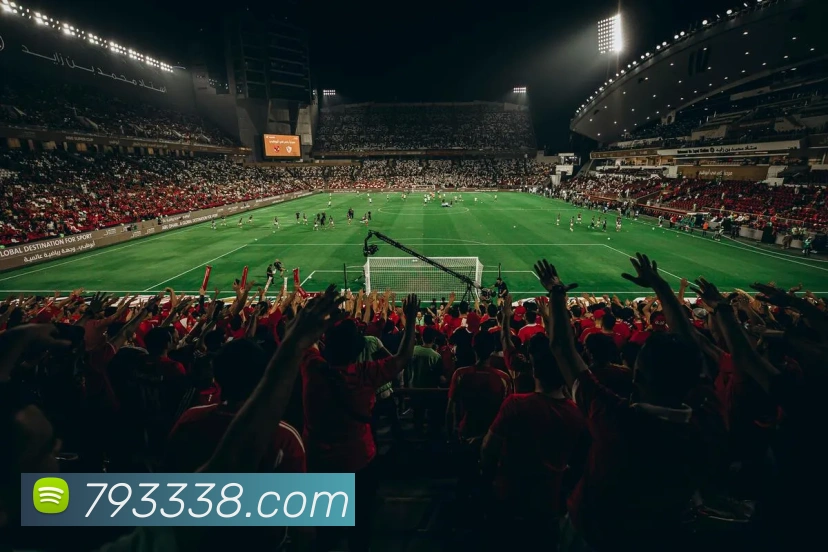 未来规划